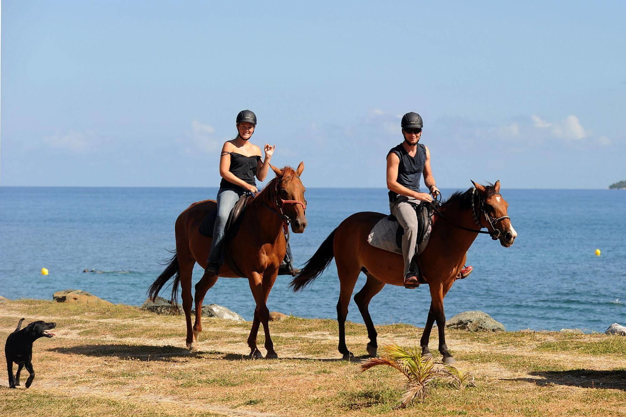 Hotel Koulnoue Village Hienghène Εξωτερικό φωτογραφία